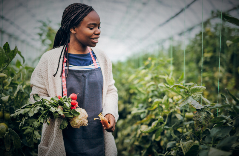 Agricultural Engineering in Nigeria: Shaping Sustainable Agriculture in Africa