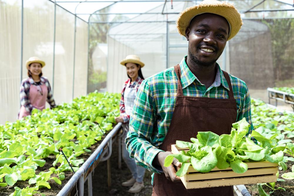 The Role of Agricultural Engineering in Sustainable Farming